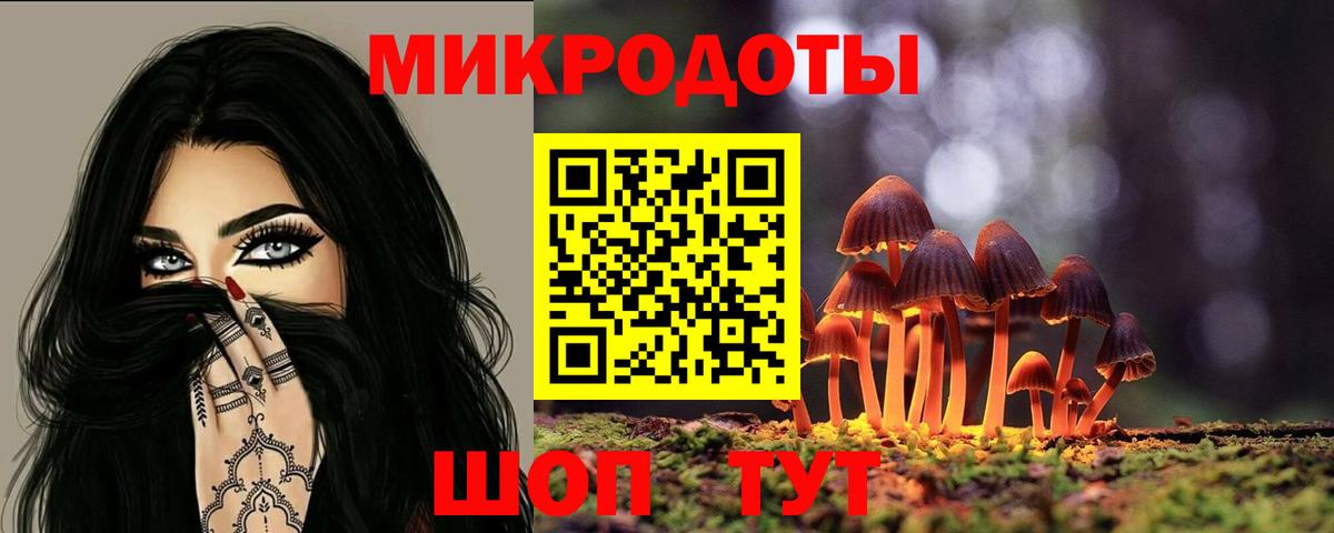 Псилоцибиновые грибы Psilocybe Гусев
